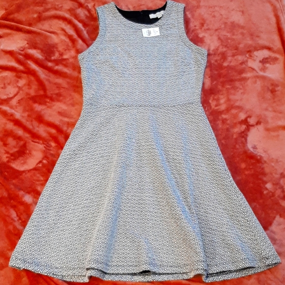 LOFT Dresses & Skirts - NWT LOFT DRESS 2